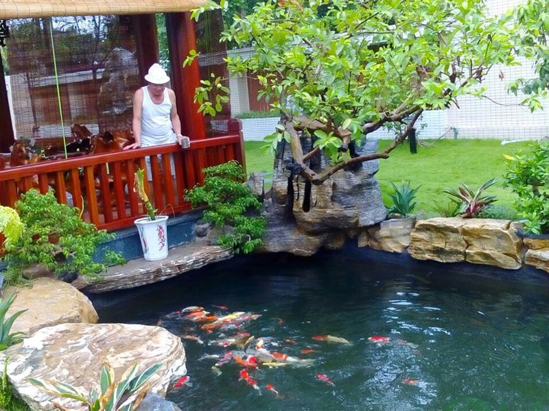 thiết kế sân vườn 200m2 