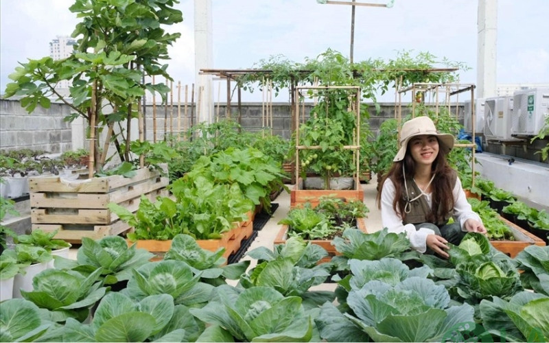 thi công cảnh quan sân thượng