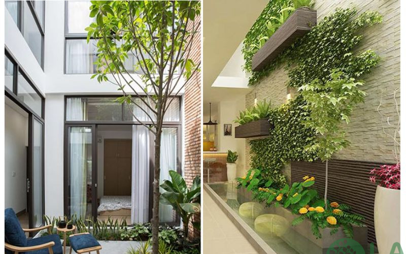 tiểu cảnh giếng trời nhà ống 