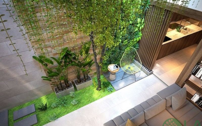 tiểu cảnh giếng trời nhà ống 