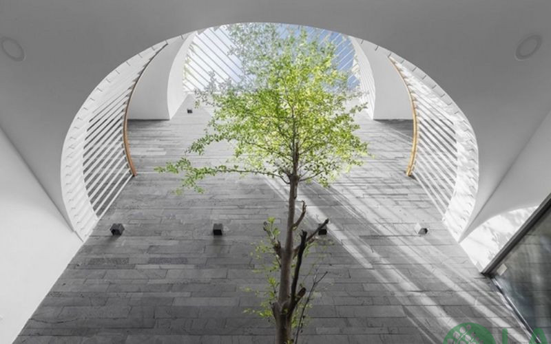 tiểu cảnh giếng trời nhà ống 