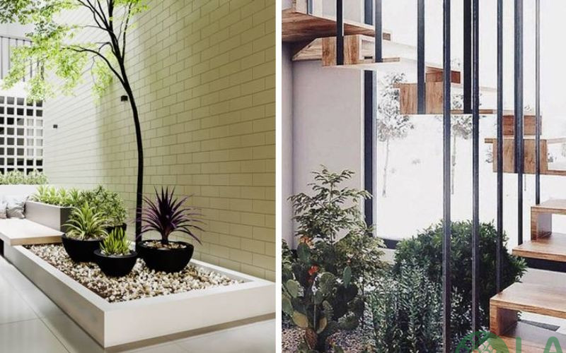 tiểu cảnh giếng trời nhà ống 