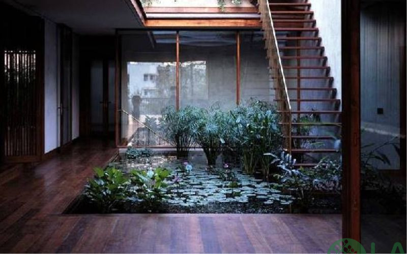 tiểu cảnh giếng trời nhà ống 