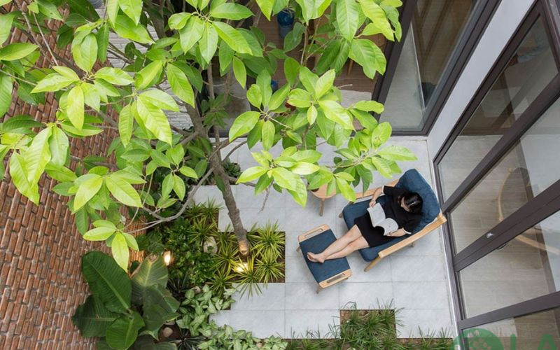 tiểu cảnh giếng trời nhà ống 