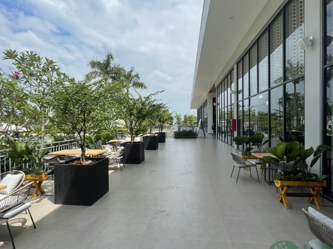 Cung cấp cây xanh