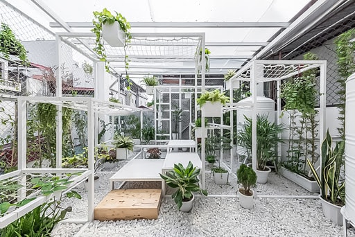 kiến trúc xanh nhà phố