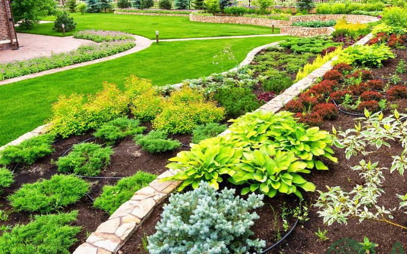 kiến trúc xanh nhà phố 