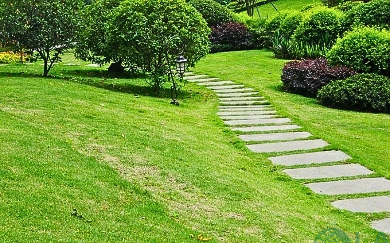 Trang trí sân vườn bằng cỏ nhân tạo