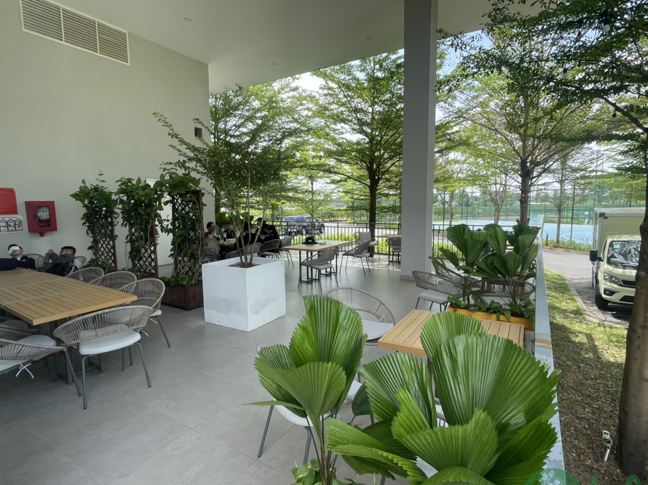 Chậu cây nội thất