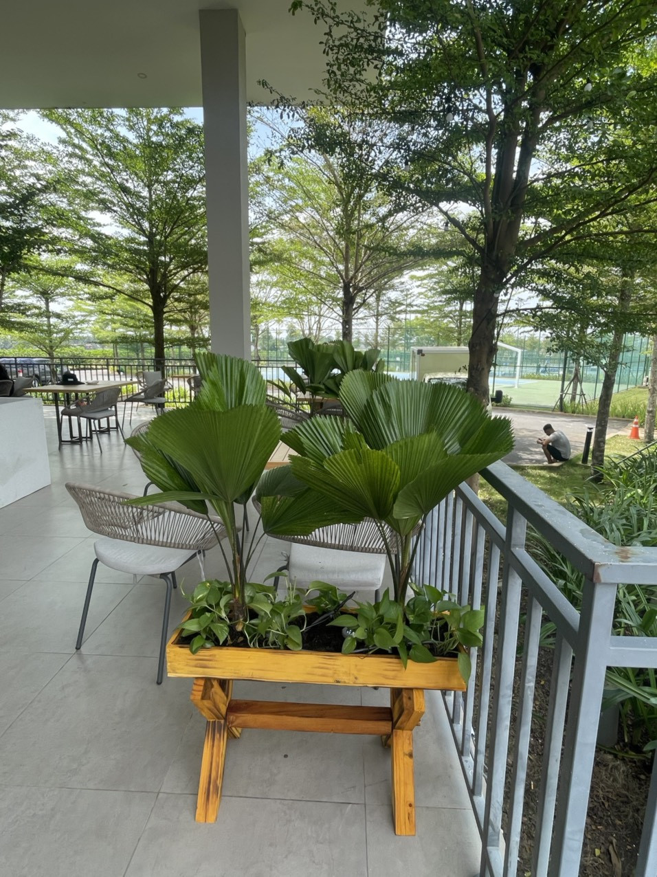 Thi công cây nội thất