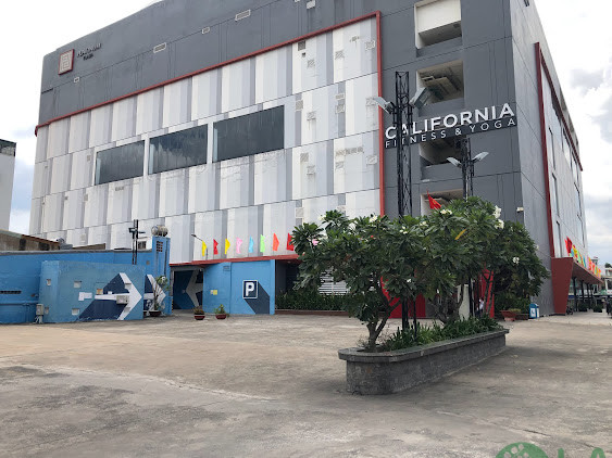 Thiết kế thi công cảnh quan 