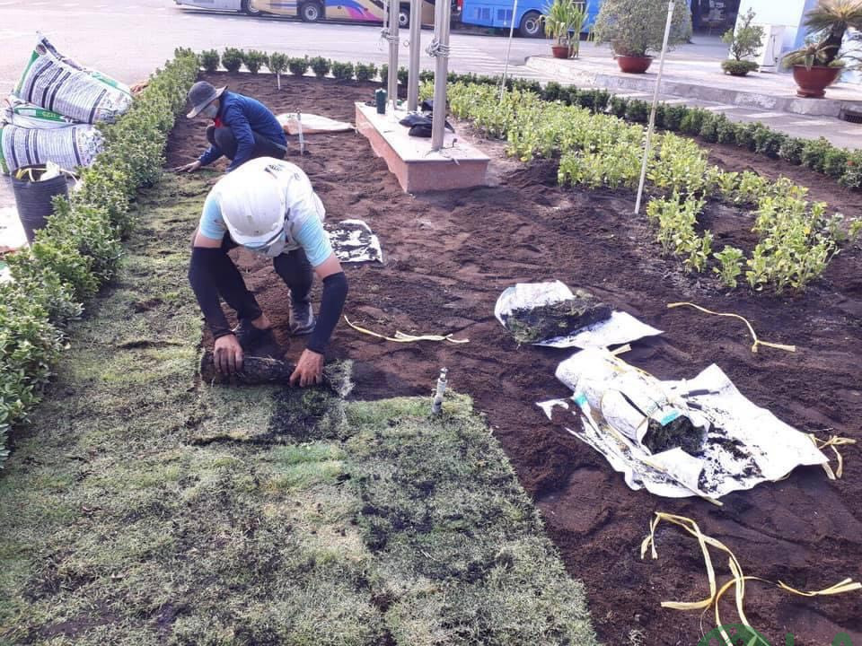 Thiết kế cảnh quan