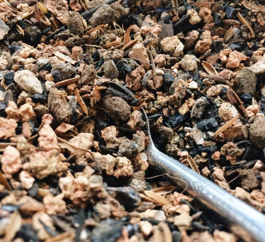 cách trộn đất trồng cây hoa cảnh