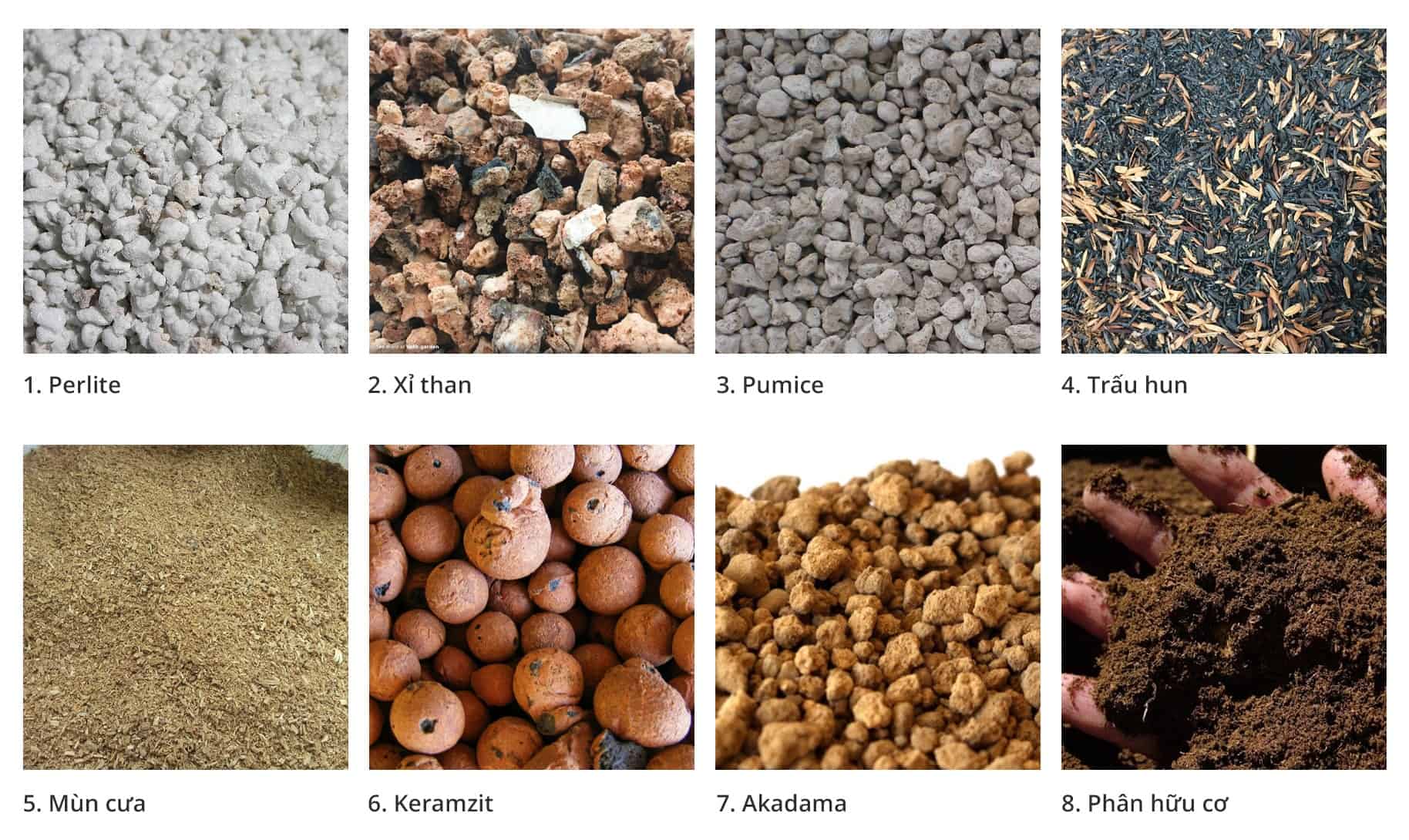 cách trộn đất trồng cây cảnh