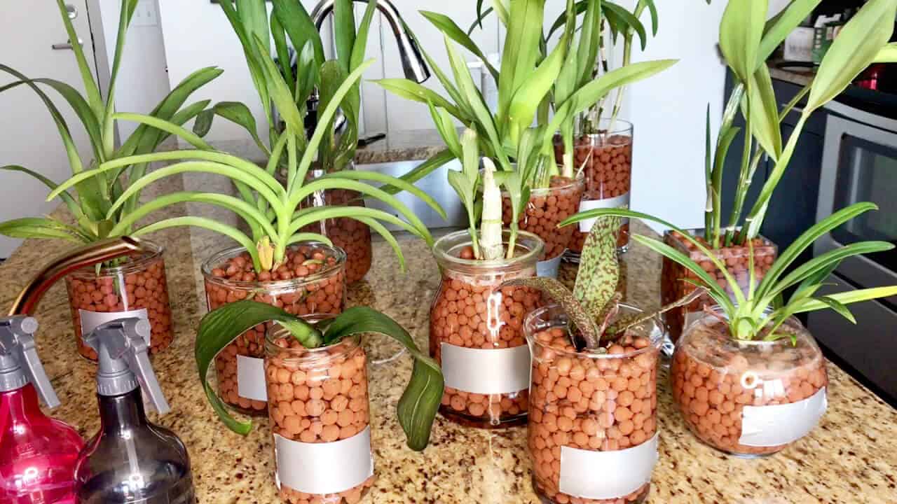 cách trộn đất trồng cây