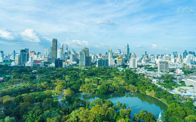 chăm sóc cây xanh đô thị