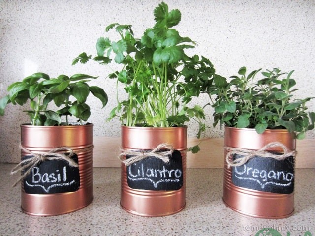 cây cảnh treo tường ngoài trời cây cảnh treo tường ngoài trời