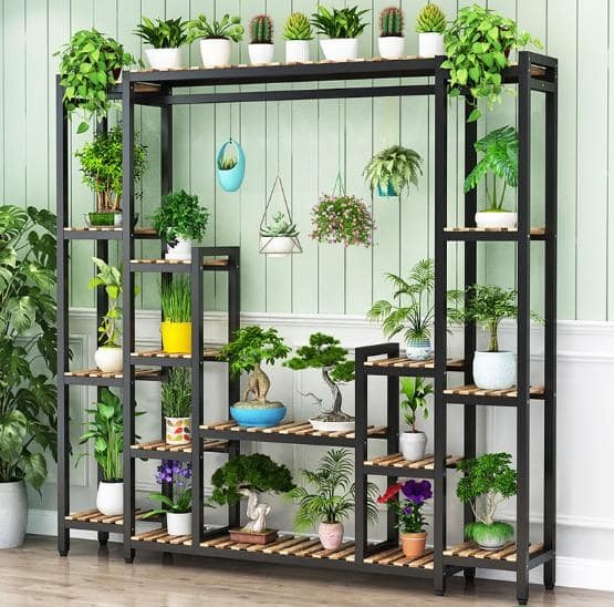 cây cảnh treo tường ngoài trời cây cảnh treo tường ngoài trời