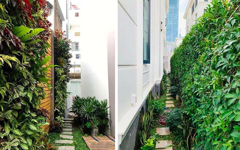 sân vườn nhỏ bên hông nhà