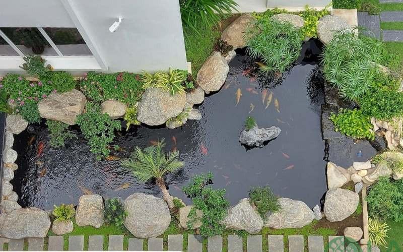 sân vườn nhỏ bên hông nhà