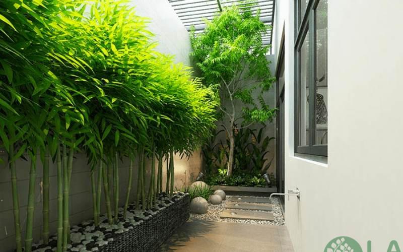 sân vườn nhỏ bên hông nhà