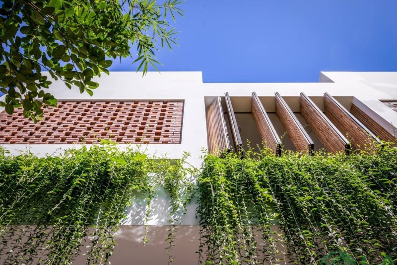 sân vườn nhỏ bên hông nhà