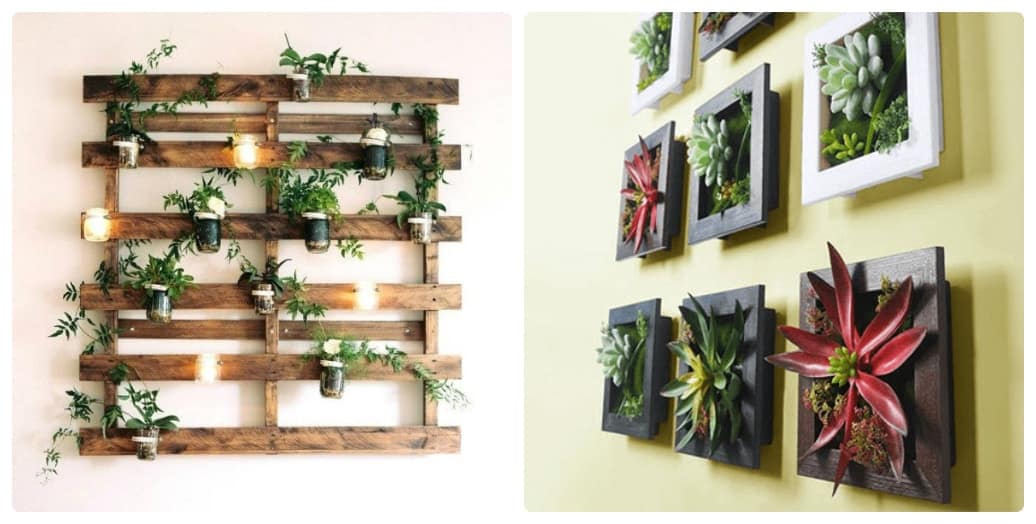 cách trồng cây trong túi treo tường