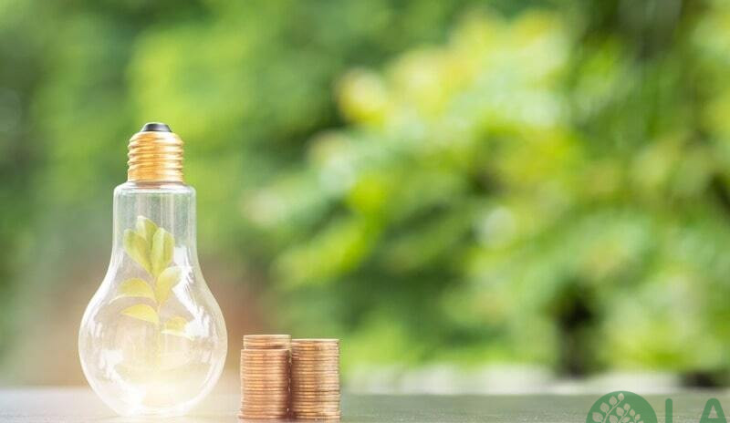 dich vu trong cay xanh tai nha