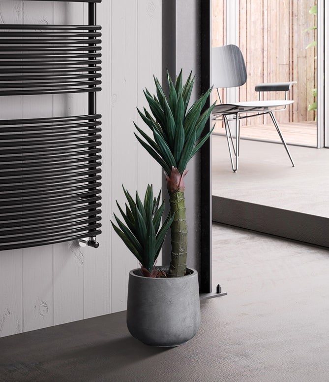 Cây cảnh ngoại thất cây cảnh ngoại thất đẹp