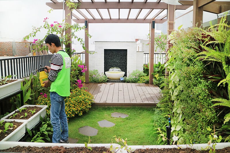 Cách bố trí cây xanh trước nhà