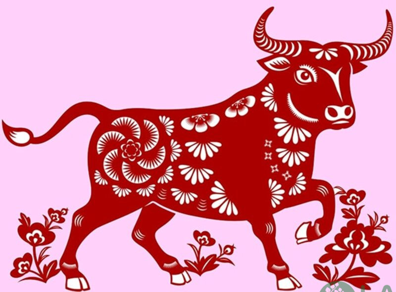 Tuổi sửu hợp cây gì 