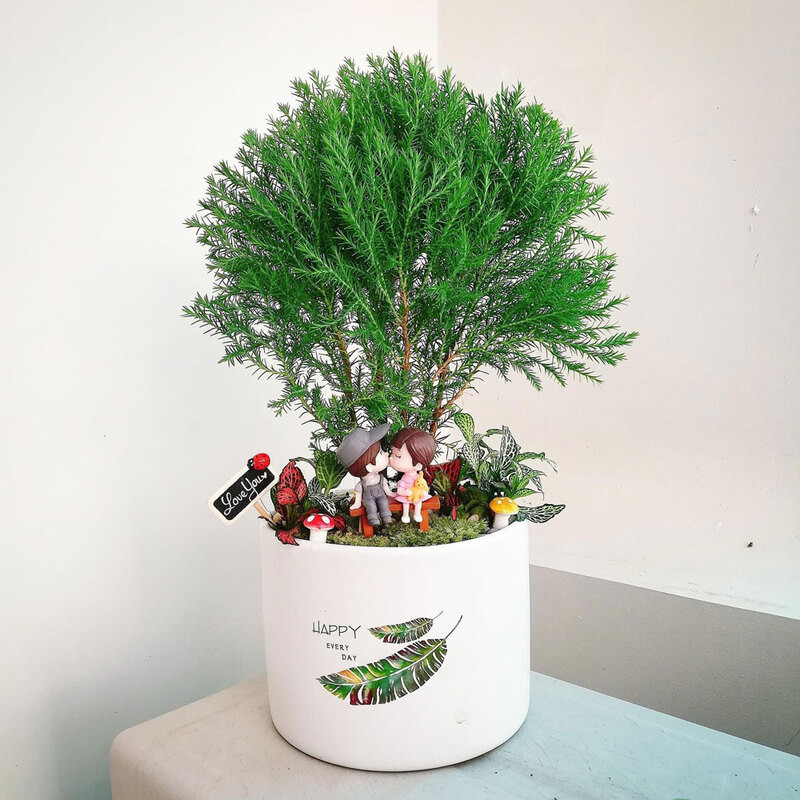 cây cảnh hợp mệnh thuỷ