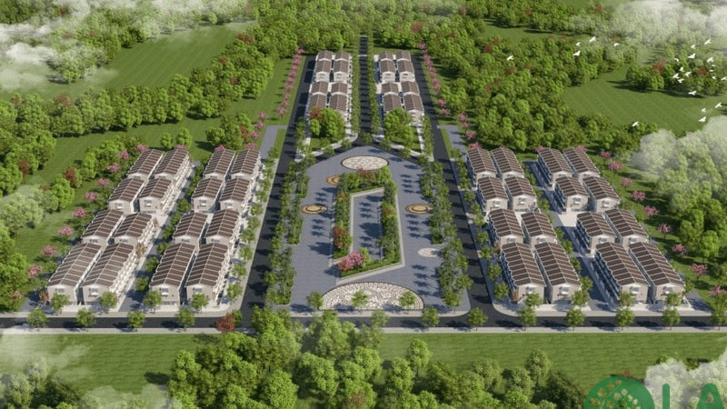 cây hợp mệnh Thủy