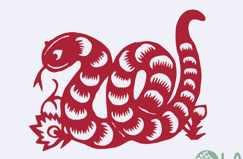 tuổi tỵ hợp với cây gì