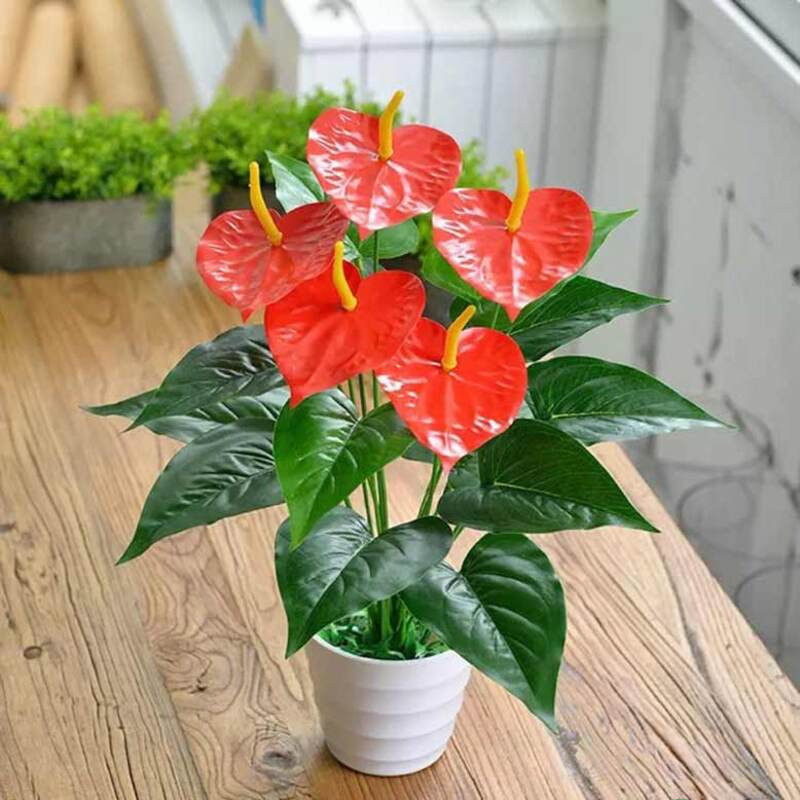 Tuổi Tỵ hợp cây gì 