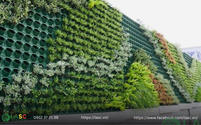 tường cây đứng