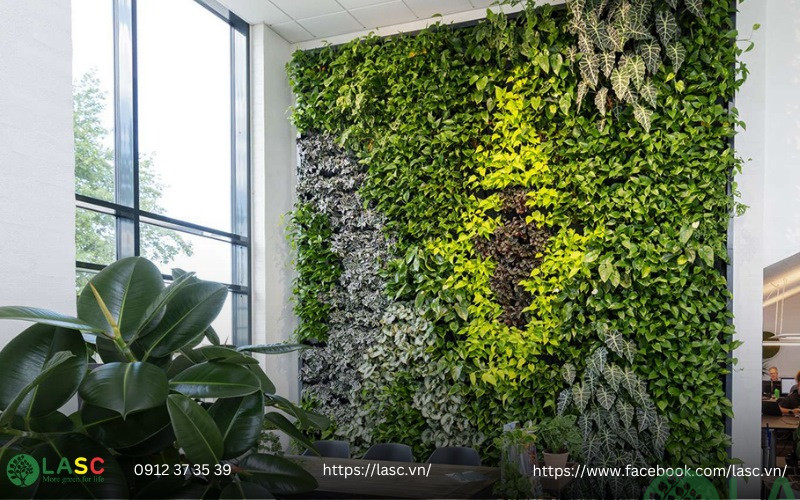 thi công tường cây xanh 
