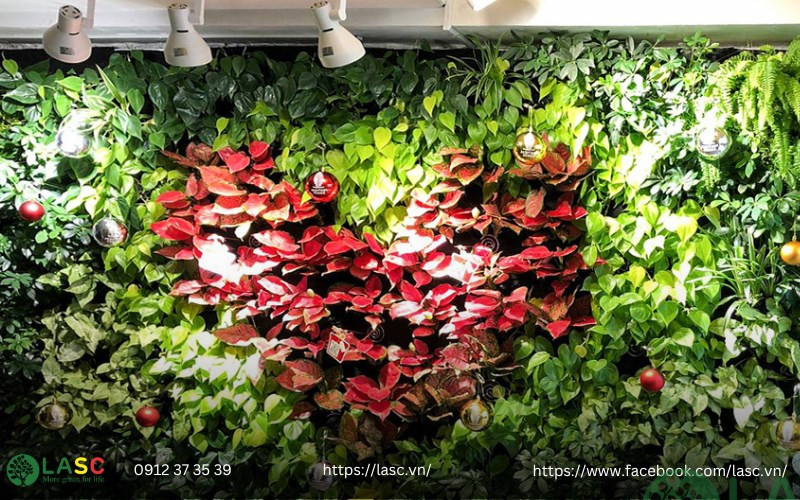 tường cây thật 