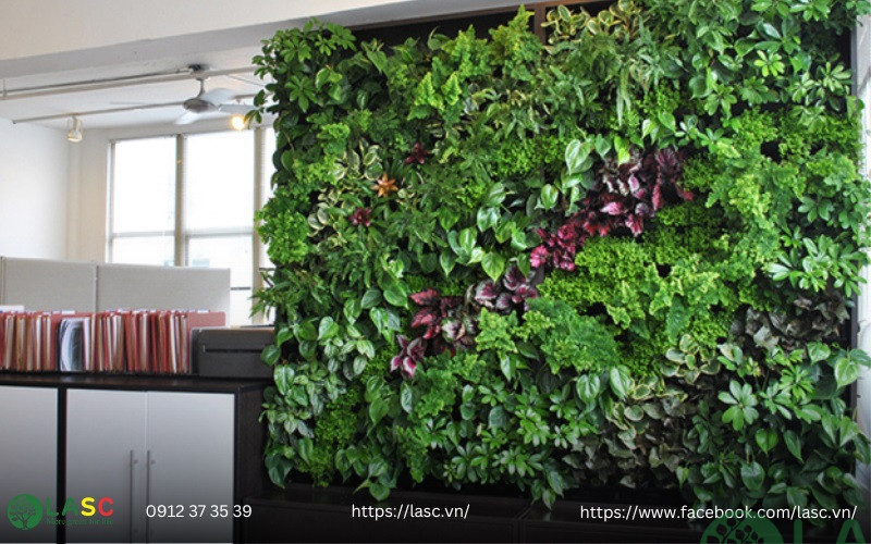 làm tường cây 