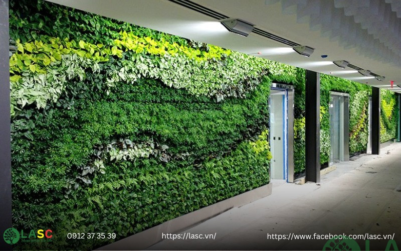 thi công tường cây xanh 