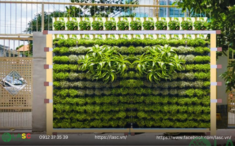 làm tường cây