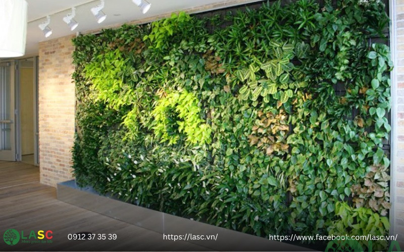 thi công tường cây xanh 
