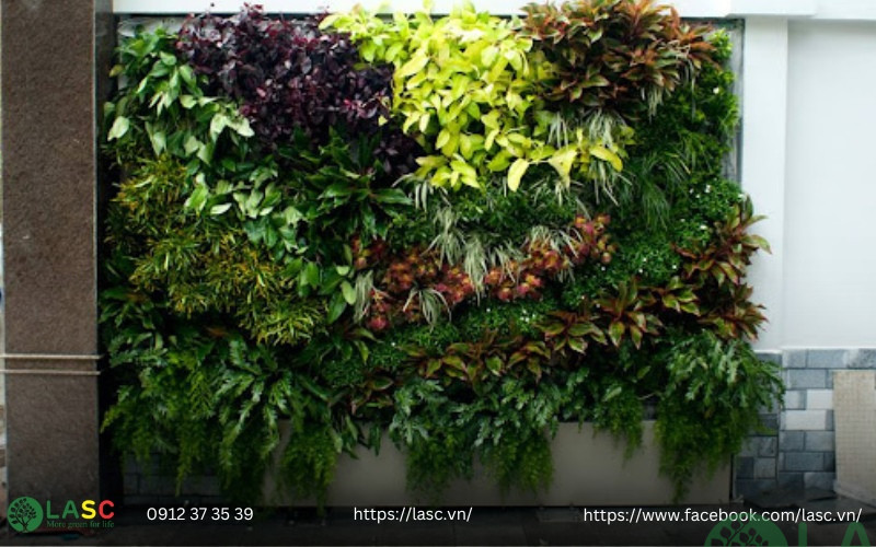 thi công tường cây xanh 