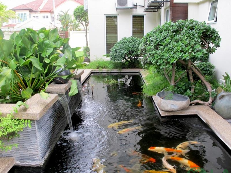 thiết kế khu vườn 1000m2