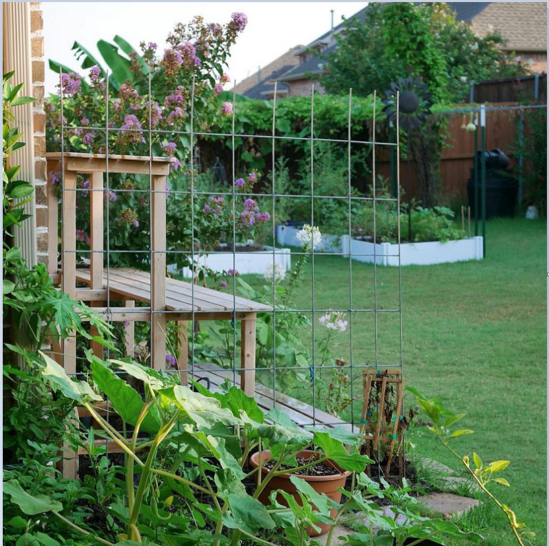 thiết kế sân vườn 1000m2