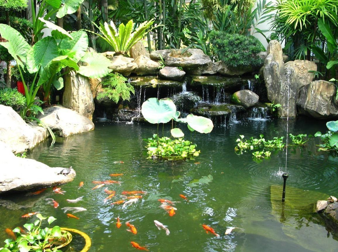 Hồ sân vườn truyền thống, làng quê