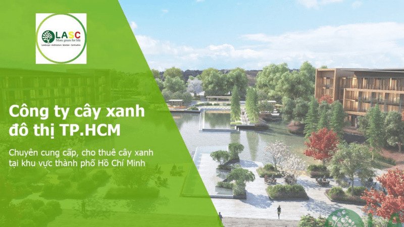 mua bán cây xanh mua bán cây xanh