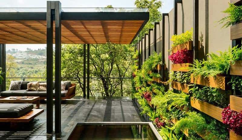 thi công vườn thẳng đứng