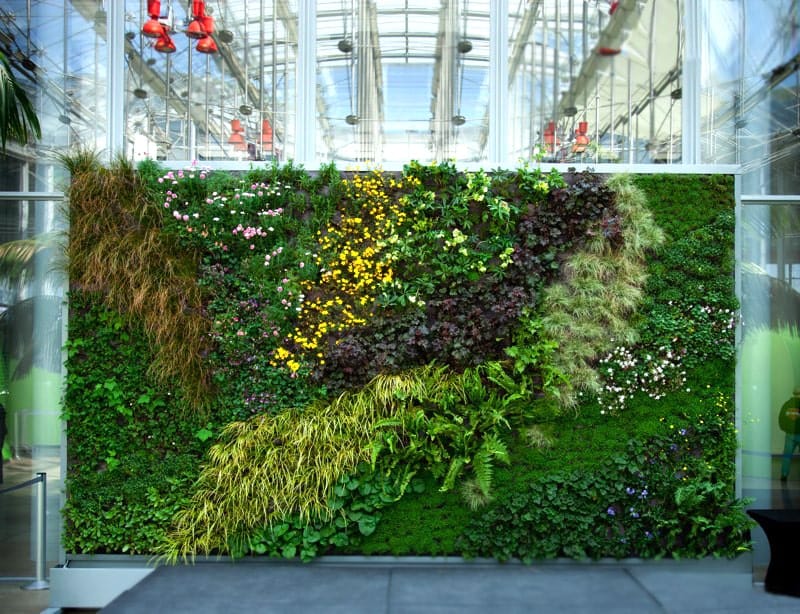 dịch vụ thi công vườn thẳng đứng