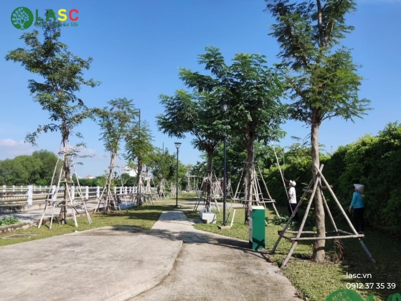 bảo dưỡng cảnh quan